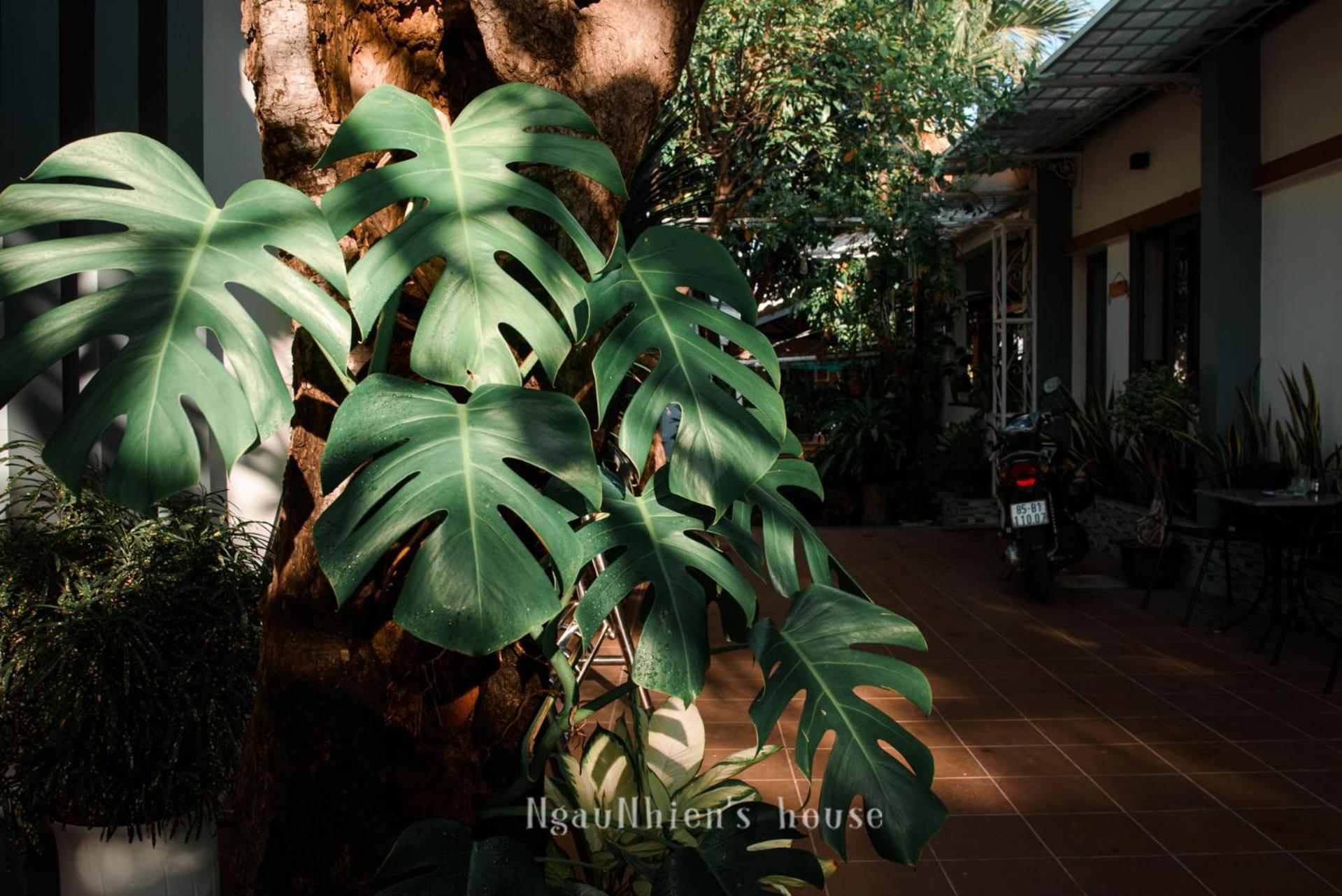 Ngaunhien'S House - Homestay 潘郎 外观 照片